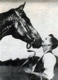 Phar Lap 1930